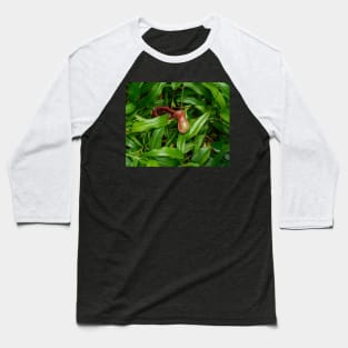 Pitcher Plants Baseball T-Shirt